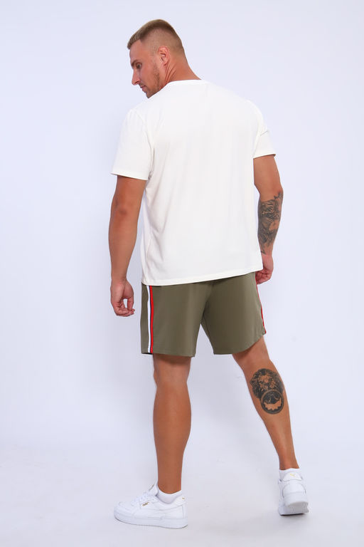 Шорты мужские 35336