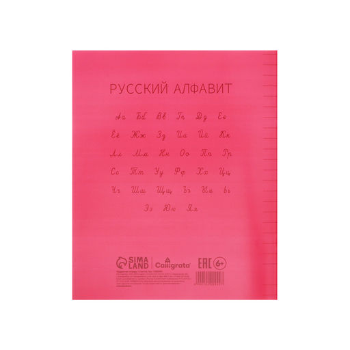 Цена за 10 шт. Тетрадь 12 листов линейку, Calligrata «Красная», пластиковая обложка