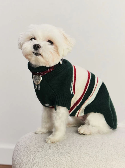 джемпер (попона) для животных / Zarina  фото 5