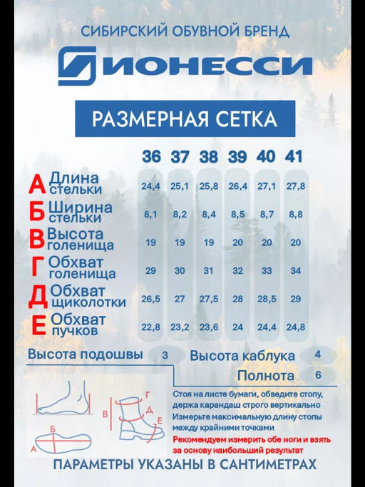 Ботинки Ионесси