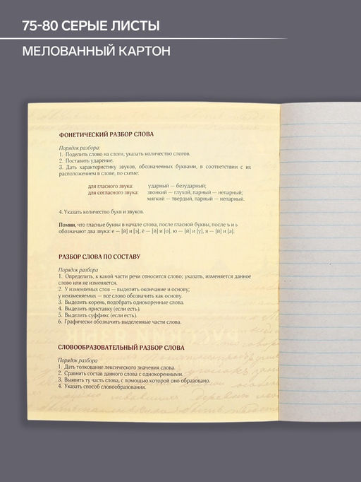 Тетрадь предметная Металл, 48 листов в линейку Русский язык со справочным материалом, обложка мелованный картон, блок №2, белизна 75% (серые листы) - Calligrata фото 7