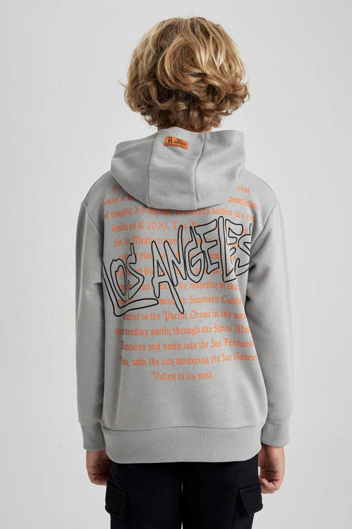 Толстая толстовка с капюшоном для мальчика - Defacto фото 7