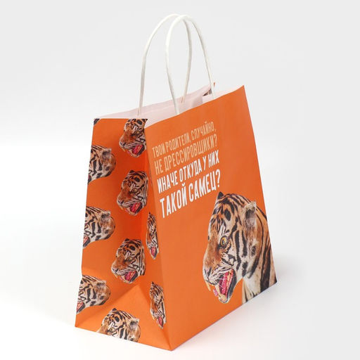 Цена за 2 шт. Пакет подарочный, упаковка, Самец, 22?22?11 см