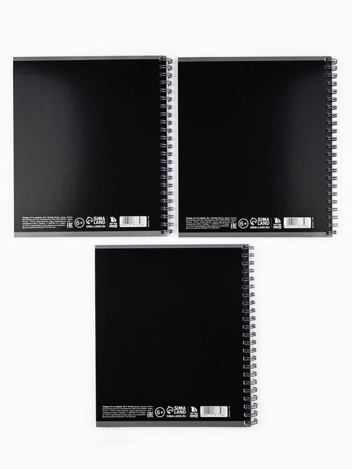 Цена за 2 шт. Тетрадь в клетку, 48 л., А5, на спирали, блок №1 Черный фон. Фразы МИКС - Artfox study фото 4