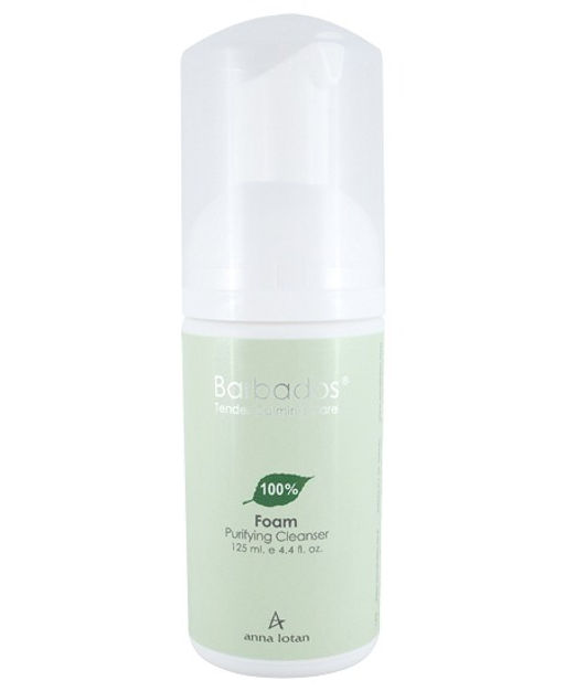 Foam Porifying Cleanser \ Очищающая Пена - Anna lotan фото 2