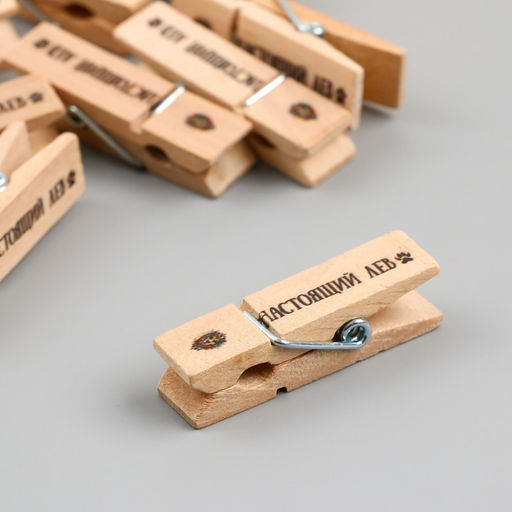 Декор для творчества дерево «Прищепка - Настоящий лев», набор 10 шт.