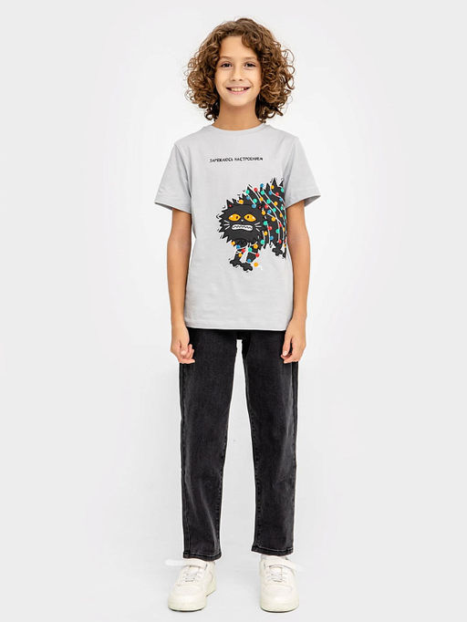 Футболка для мальчиков светло-серая с печатью - Mark formelle фото 2