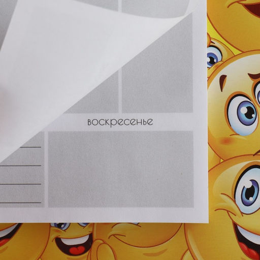 Планер на магнитах с отрывными листами, 50 л Смайлы - Artfox фото 4