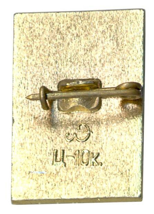 Значок Петродворец