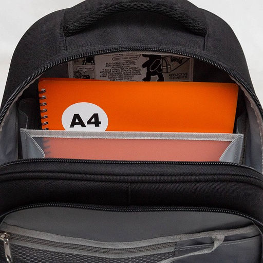 RAz-587-7 Рюкзак школьный - Grizzly фото 36