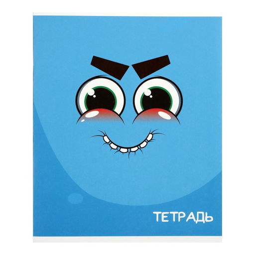 Комплект тетрадей из 10 штук (5 видов по 2 штуки), 48 листов в клетку Calligrata Смайлики, обложка мелованный картон, блок офсет фото 2