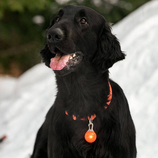 Маячок Сфера 3 режима свечения оранжевый - Пижон фото 12