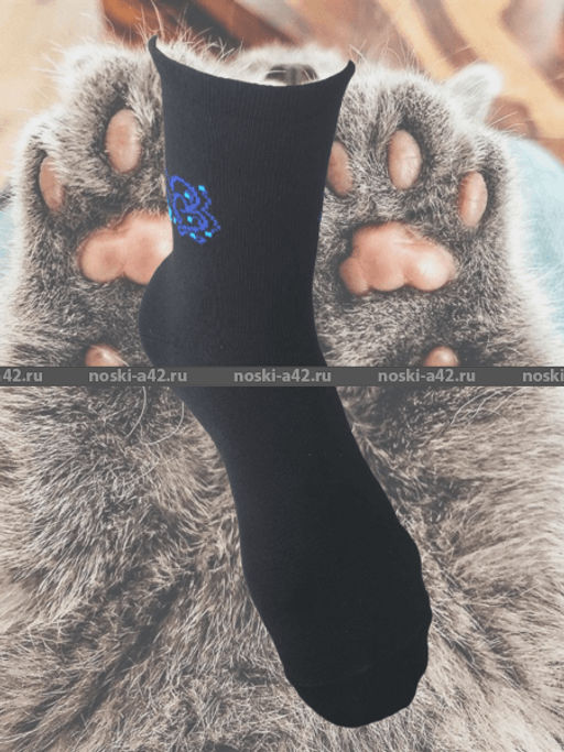 Цена за 10 пар. ЮстаТекс носки женские 2с15 СПОРТ ассорти 23-25 - Юста-текс фото 150