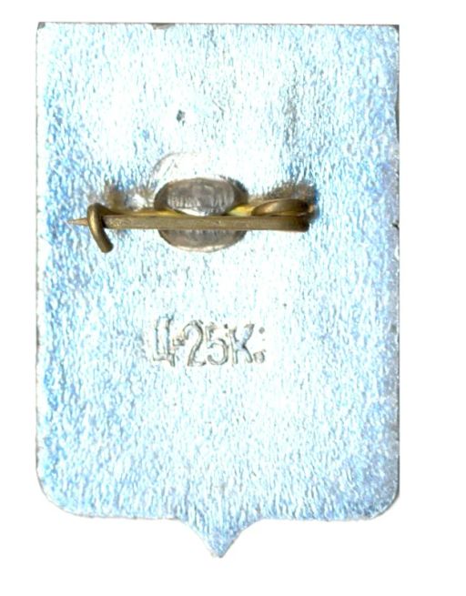 Значок Старая Русса