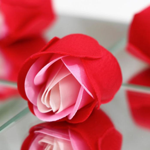 Мыльные розочки, трёхцветные, набор 3 шт. - SB BEAUTY фото 5