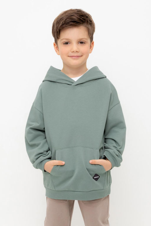КР 302680/полынь джемпер (худи) для мал