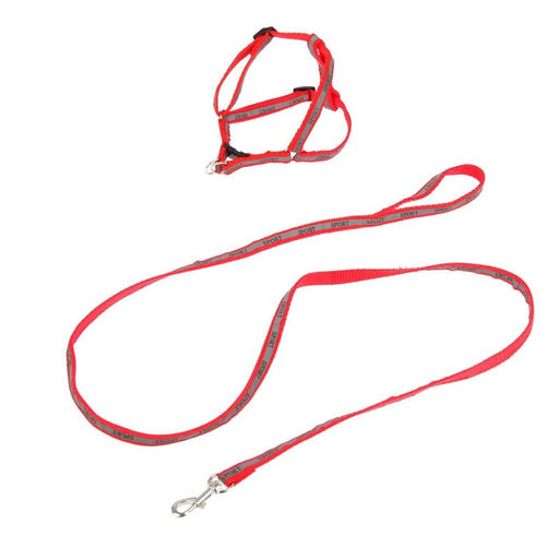 Комплект Спорт светоотражающий, поводок 120 х 1 см, ОГ 22-39 см, микс цветов - Пижон фото 10