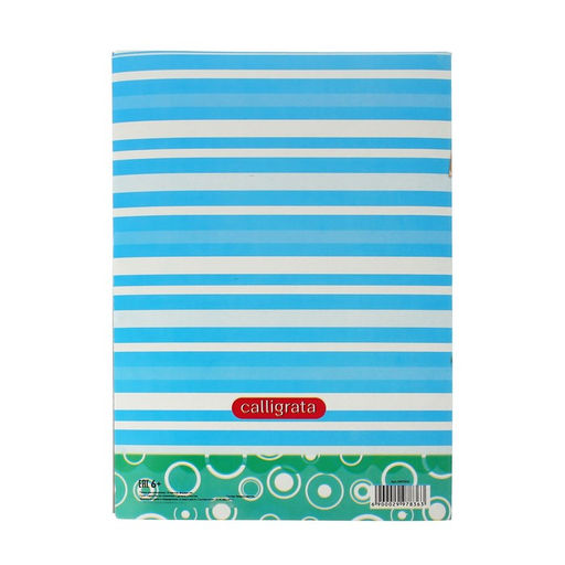 Папка для рисования А4 10 листов Панда, блок 120г/м - Calligrata фото 3