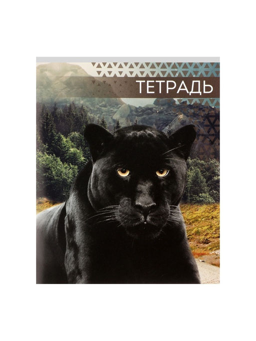 Цена за 10 шт. Тетрадь 48 листов в клетку, Calligrata Дикие кошки, МИКС  фото 7