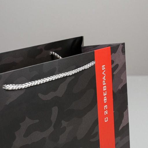 Цена за 2 шт. Пакет подарочный ламинированный, упаковка, С 23 февраля, ML 27?23?11.5 см