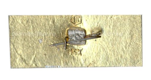 Значок Кострома