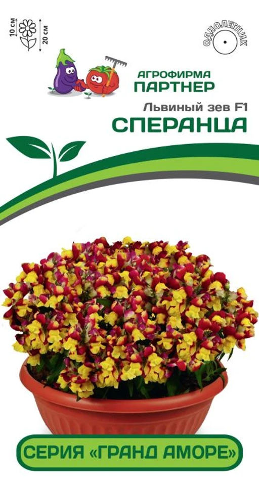 Львиный Зев низкорослый крупноцветковый Гранд Аморе Сперанца - Партнер фото 2