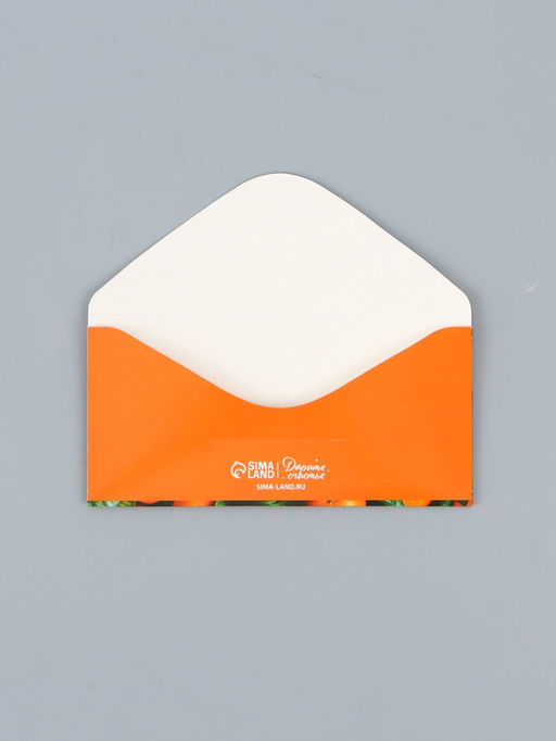 Набор конвертов для денег «Новогодние», 15 штук, 16.5×8 см