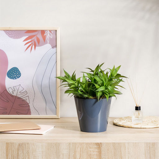 Rosemary Горшок для цветов пластмассовый 1,6л, д16см, h14,5см, с дренажной вставкой, серый (Россия) - Домашняя мода фото 2