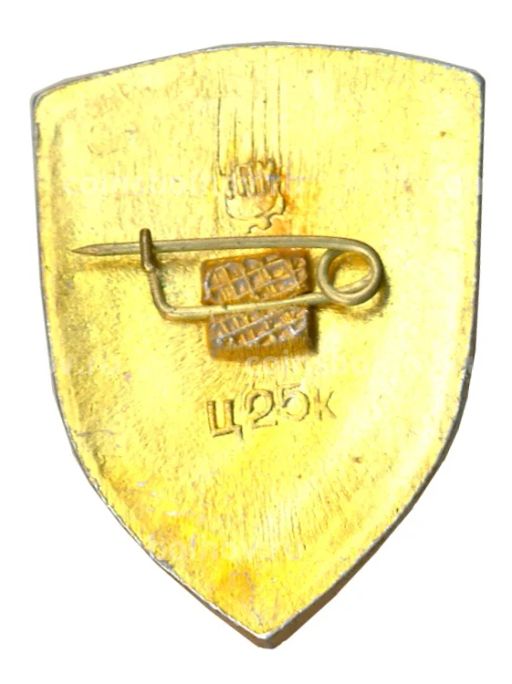 Значок Киев