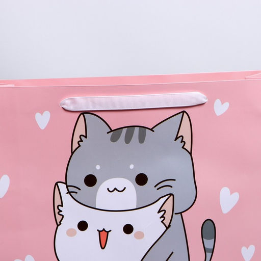 Цена за 2 шт. Пакет подарочный ламинированный, упаковка, «Киса», M 30×25.5×9 см