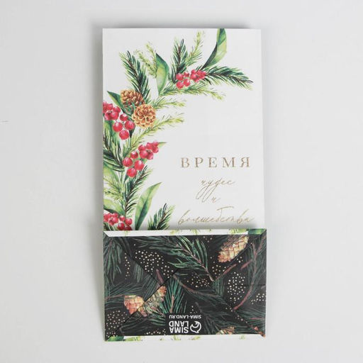 Цена за 10 шт. Пакет без ручек новогодний «Время волшебства», 10×19.5×7 см