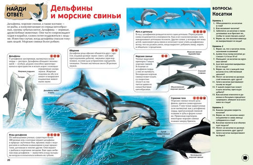 Интерактивная энциклопедия для школьников (нов.оф.*). Гиффорд К., Мейсон К., ОБрайен С.,... - Махаон фото 3