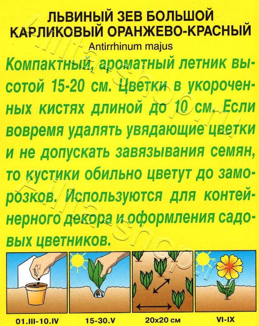 Львиный зев карликовый оранжево-красный 10шт. (Аэлита)