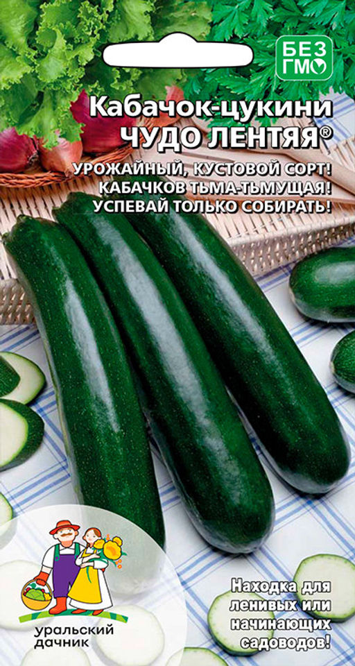Кабачок ЧУДО ЛЕНТЯЯ Для ленивых садоводов! Урожайный, кустовой сорт! Множество кабачков, успевай только собирать!