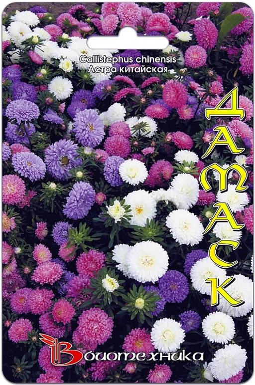 Композиция Классик Дамаск - Биотехника фото 2