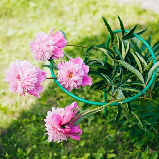 Цена за 2 шт. Кустодержатель для цветов, d=40 см, h=80 см, ножка d=1 см, металл, зелёный