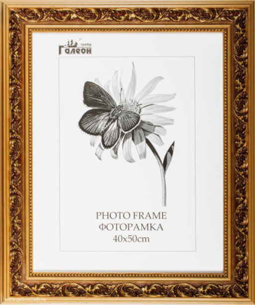 Фоторамка 40х50 / MY-8026 Gold /ф - Галеонтрейд фото 2