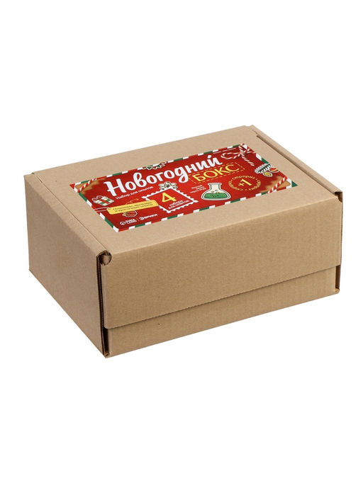 Набор для опытов Новогодний бокс, 4 набора для опытов, 1 сюрприз