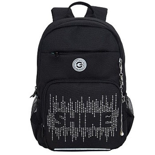 RG-464-3f Рюкзак школьный - Grizzly фото 12