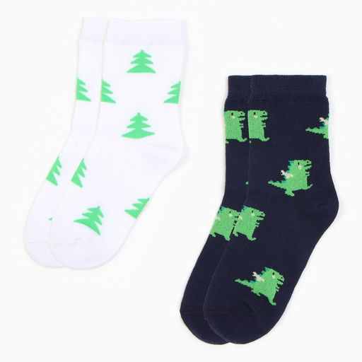 Набор детских носков KAFTAN «Дракоши» 2 пары, размер 18-20