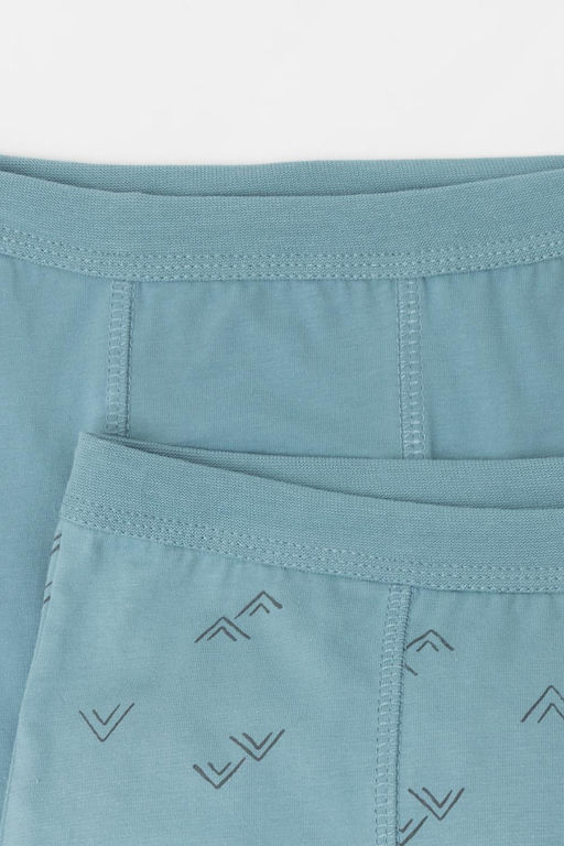 К 1980-2уп/синий дым,снежные горы трусы для мал - Crockid фото 3