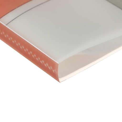 Папка формат А4, с 30 прозрачными файлами Достопримечательность, МИКС - Calligrata фото 7