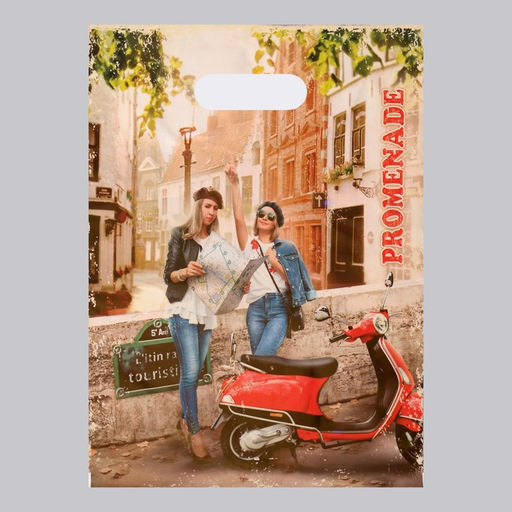 Цена за 50 шт. Пакет «Прогулка» полиэтиленовый с вырубной ручкой, 50 мкм, 30×40 см