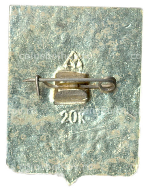 Значок Кострома