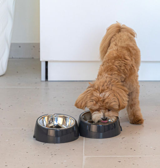 Лего-миска для животных 0,3л (с металлической чашей) ALTA (графитовый) М9154