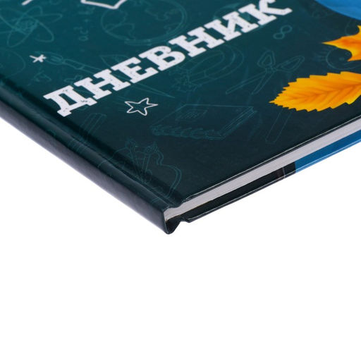 Дневник школьный для 1-11 классов, Школа, твёрдая обложка 7БЦ, глянцевая ламинация, 40 листов - Calligrata фото 3