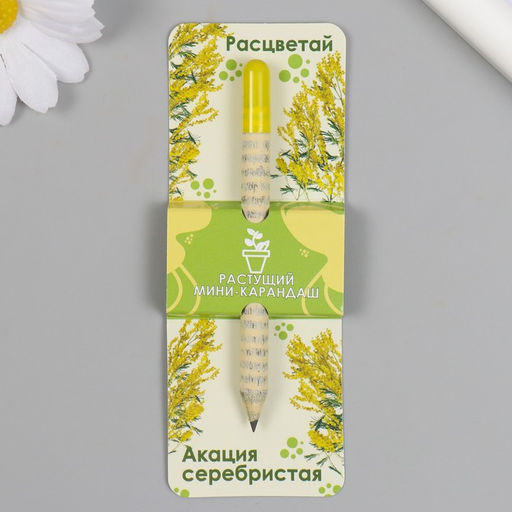 Цена за 2 шт. Растущий карандаш подарочный «Акация серебристая. Расцветай», mini, простой чернографитный