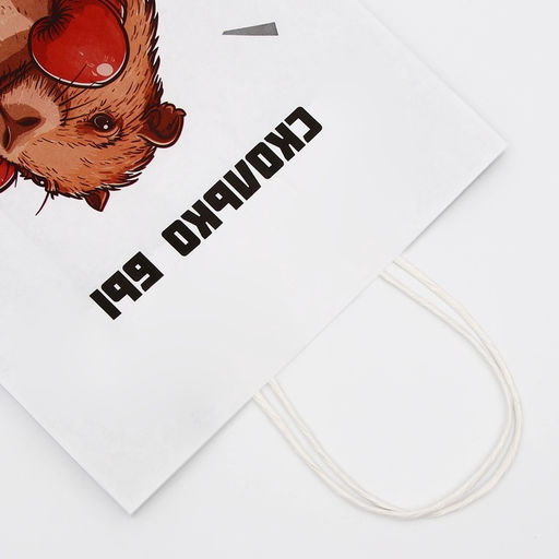 Цена за 10 шт. Пакет подарочный бумажный, "Сколько бы тебе не стукнуло - отбивайся", 24 х 10,5 х 32 см