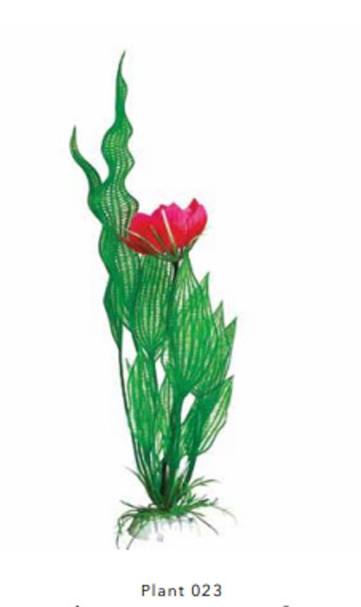 Растение Plant 023 Апоногетон Мадагаскарский 20см PLANT 023/20