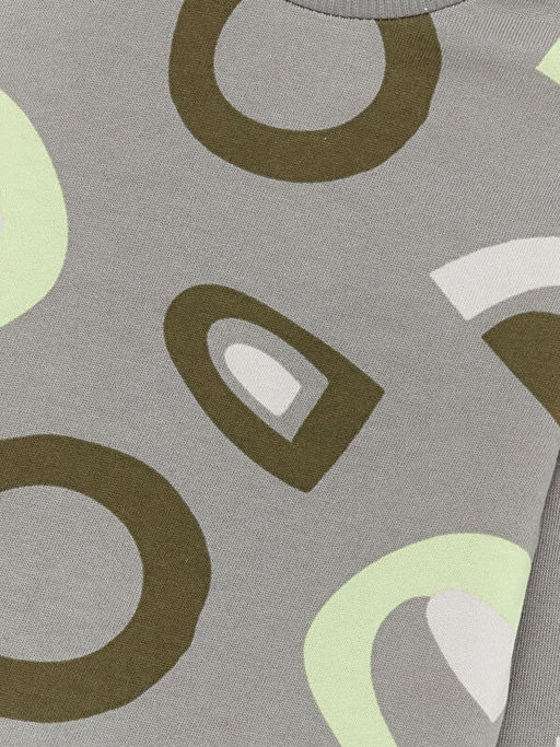 Bisiklet Yaka Uzun Kollu Bask?l? Erkek Bebek Sweatshirt - Waikiki фото 3